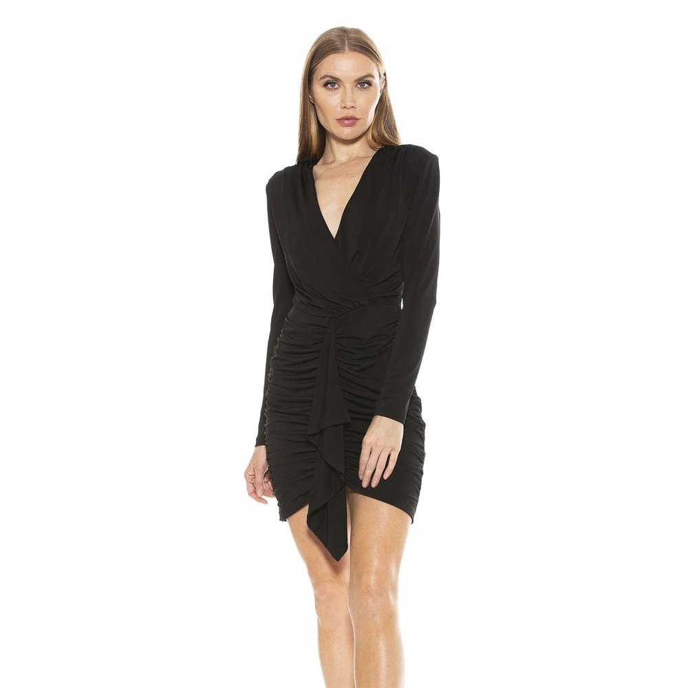 Alexia Admor Mini Dress